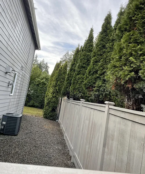 Cedar Staining in Mercer Island 